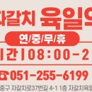 자갈치약국 이미지