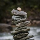 에잇핏