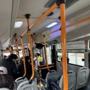 사용자를 끌어들이는 요즘 UX/UI | 비전공자 코딩 부트캠프 일상! UI/UX 특강 듣고 흑카츠로 힐링하기