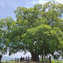 주식회사 무심유통 이미지