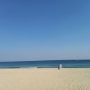 주문진 이미지