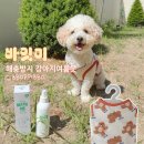 베스트 플러스 | 바잇미 해충방지 강아지여름옷 버그쉴드쿨베스트와 헤잇미플러스 솔직후기