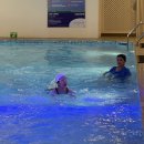 가정요리(야) | [9/1 - 9/14]세부여행, 급찐급빠,스쿠버다이빙,padi,가정용제모기, 세부맛집