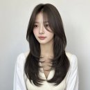 생활한지 | 당산 미용실 레이어드컷 맛집 컨시스 당산 솔직후기