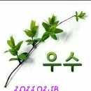 엔돌핀 Daum카페