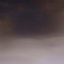 엄지치킨 이미지