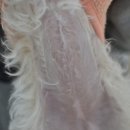 전동물병원 이미지