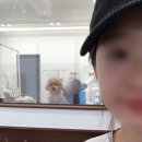 말숑말숑 이미지