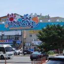 보령 원산도해수욕장 3박4일 해루질 여행 대천항수산시장 78보승호바다수산 먹방후기