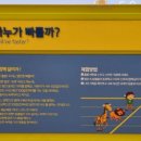 아산환경과학공원 놀이터 이미지