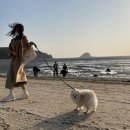 소나무카페(소나무관광농원) 이미지