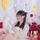 운동의 미학 | 대구 컨셉 스튜디오 새벽미학 후기｜남자 로판 공주 체험기