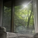 제천 리솜포레스트 G50, 복층 독채 별장 가족여행 숙소 추천 후기 (예약, 룸서비스 등)