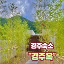 (경주숙소) 내돈내산 &#34;경주옥&#34; 후기