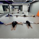옥길버들초 이미지