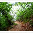 수도산쉼터 이미지