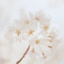 스텔라여성의원 이미지