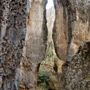 석림4로 이미지