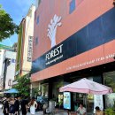 정상카써비스 | 다낭 현지 렌트카 후기 비용 저렴하고 좋은 곳