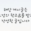 강남 요미독앤캣 강아지 분양 고양이 분양 이미지