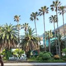 금강카서비스 - 제천시 송학주천로 173 | 제주 렌트카 추천 제주도 렌트카 가격비교 보험 카모아 최저가 예약 비용 후기