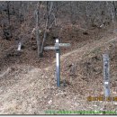 밤재 등산로 이미지