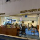 커피아일랜드 | 건대애견동반카페 리셋커피 아일랜드 내돈내산 방문후기 ☕️