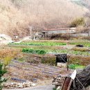 경북공인중개사사무소 이미지