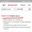 램프요정 - 고양시 덕양구 | 램프요정