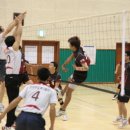 선기로2-11 이미지