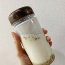 입냄새/편도결석 100% 없애는 방법 (찐 후기 공개!)