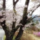 모텔휠링 이미지