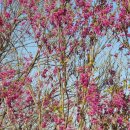 준안과의원 이미지