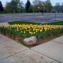 (주)베리언스 이미지