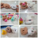 빵빵여우마켓 이미지