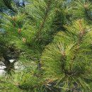 박사골농장 이미지