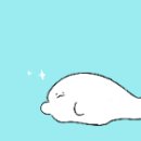 오션앤PC 이미지