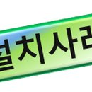 새로이주식회사 네이버블로그
