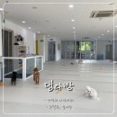 댕다방 이미지
