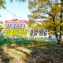 화랑 유아숲체험원 이미지