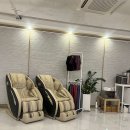 필라펠리스 이미지