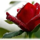 음악상자 이미지