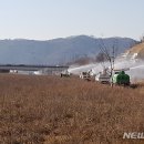 강수농장 이미지