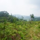 용산-224 이미지