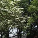 (주)오월에숲 이미지