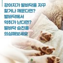 하남동물병원 이미지