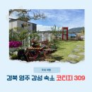 영주 여행 숙소 애견 동반 감성 숙소 코티지 309