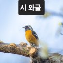 버들강아지1(호랑버들) / 정정민 이미지