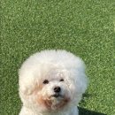 멍테소리 이미지