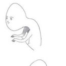 양정분산부인과 이미지